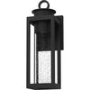 Quoizel Donegal Outdoor Wall Lantern DGL8405MBK